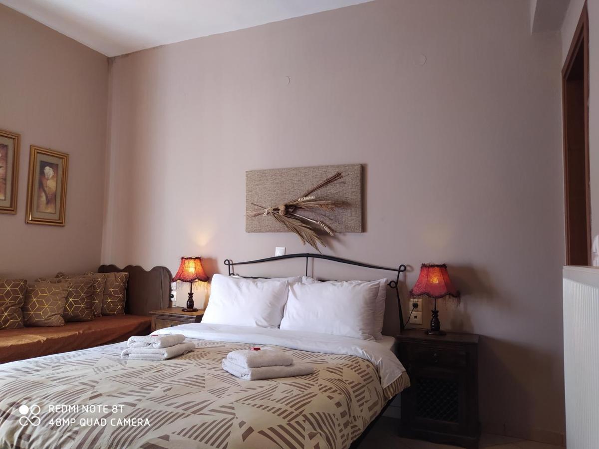 Xenonas Sta Tzakia Hotel Karpenisi ภายนอก รูปภาพ