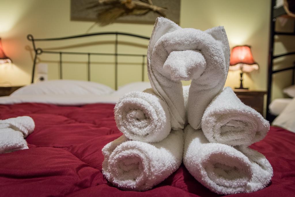 Xenonas Sta Tzakia Hotel Karpenisi ภายนอก รูปภาพ