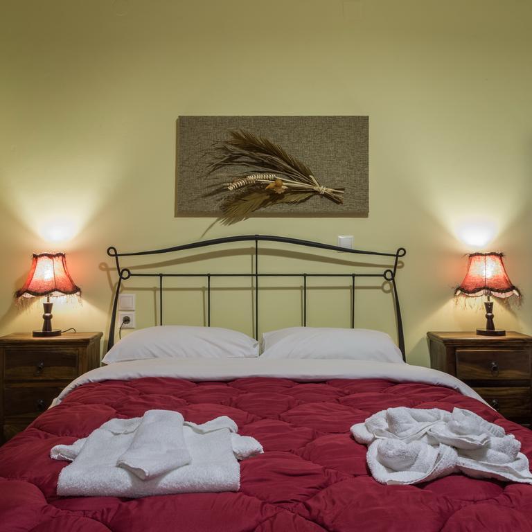 Xenonas Sta Tzakia Hotel Karpenisi ภายนอก รูปภาพ